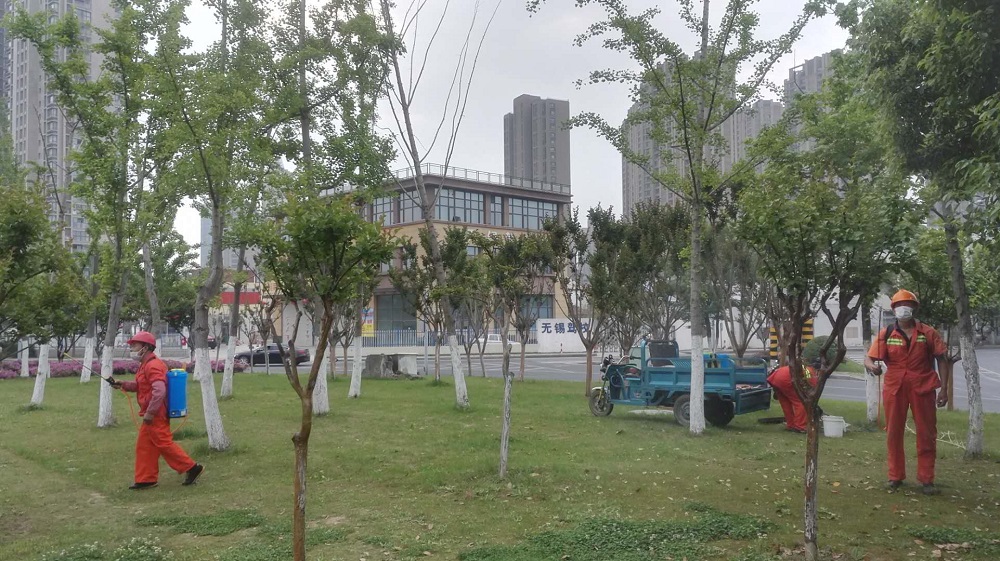 豆1.jpg 豆1.jpg