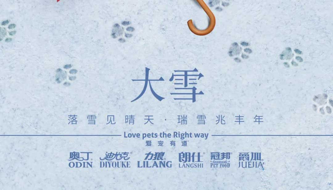 大雪丨雪落知寒意 久伴見初心！