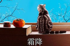 霜降丨縱然霜華盡染，心中美好如初